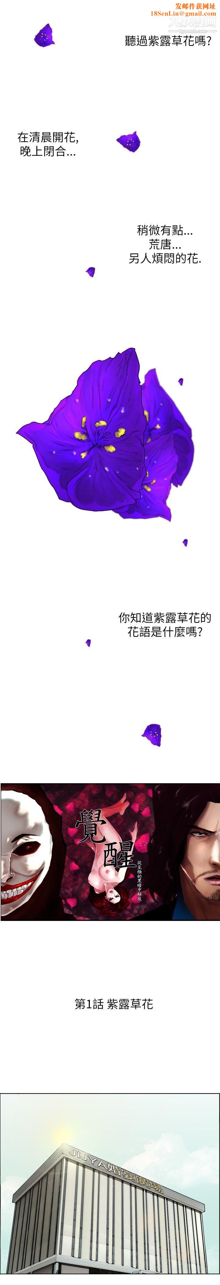 觉醒第1话-紫露草花