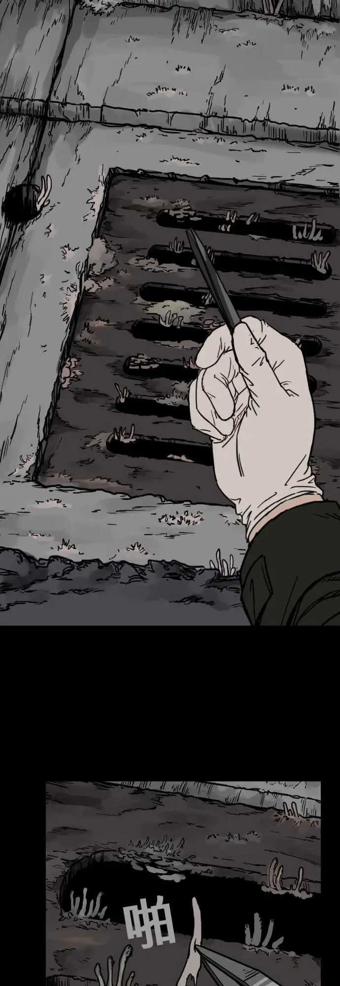 刺角第5回现踪