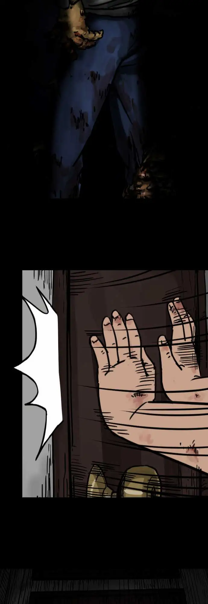 刺角第5回现踪