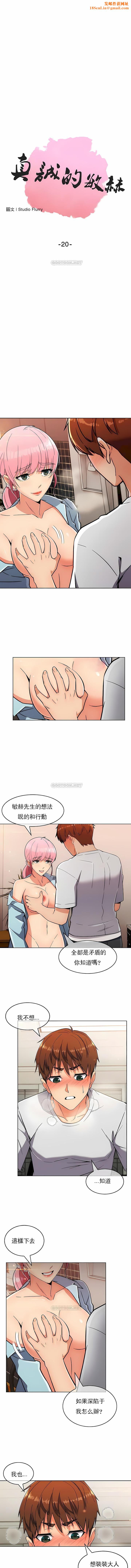 真诚的敏赫第20话