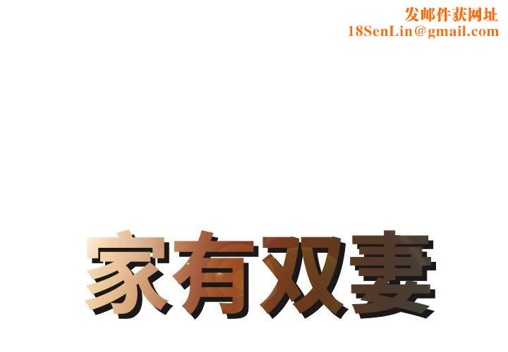 家有双妻第1话