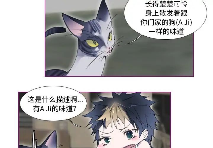 我的猫狗女友第13话