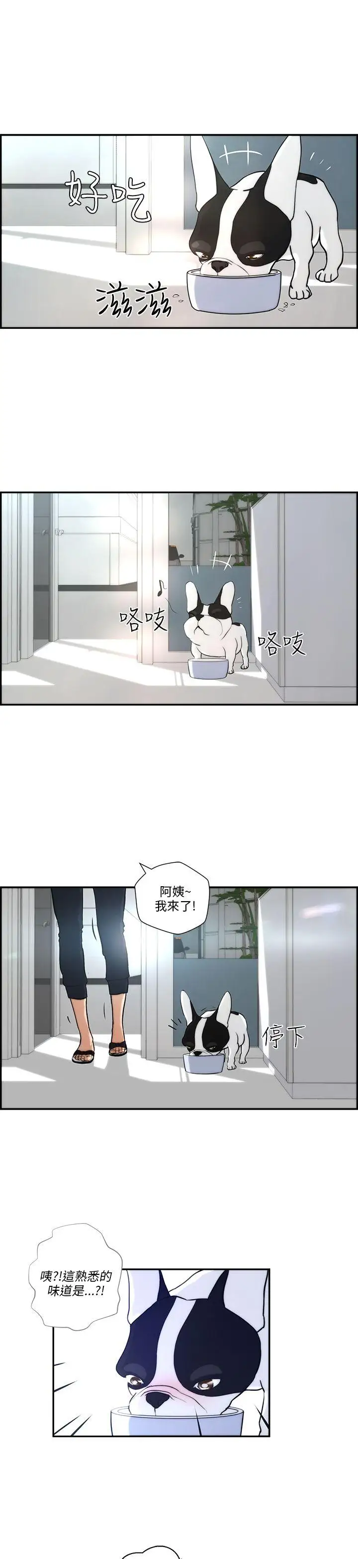 变成狗的男人第4话
