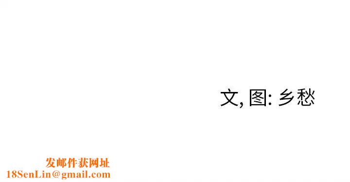 墓誌铭第4话