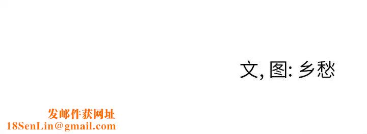墓誌铭第9话