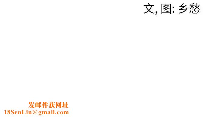墓誌铭第12话