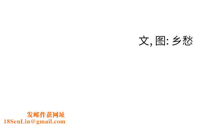 墓誌銘第17话