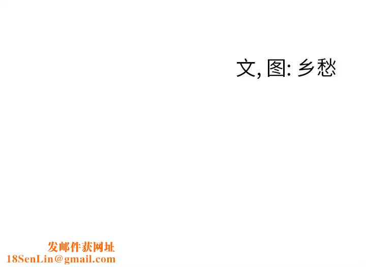 墓誌铭第39话