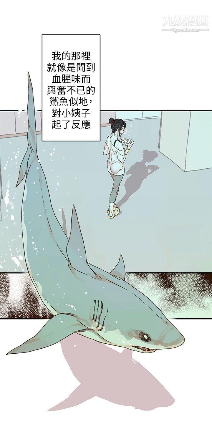 野道剧场第11话