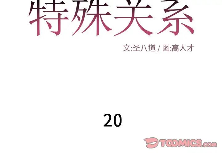 特殊關係第20話