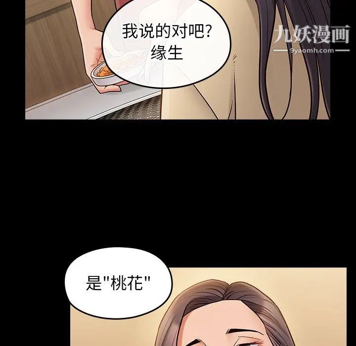 桃花最终话