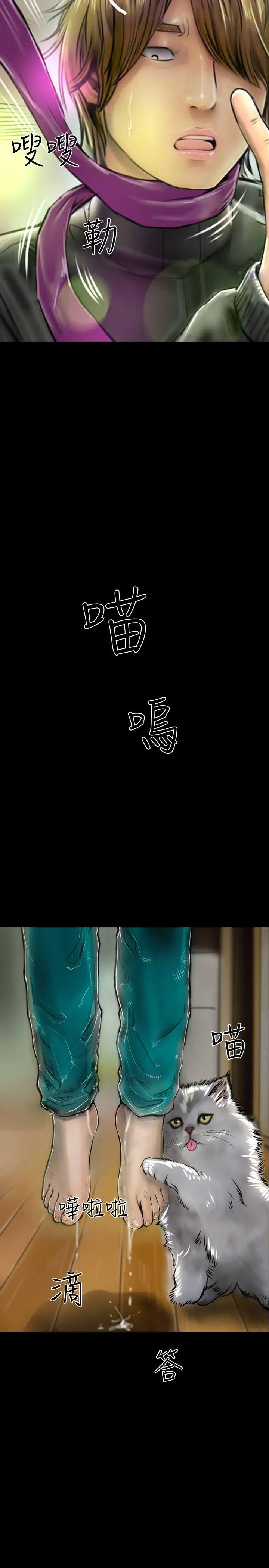 啵啵啵最终话