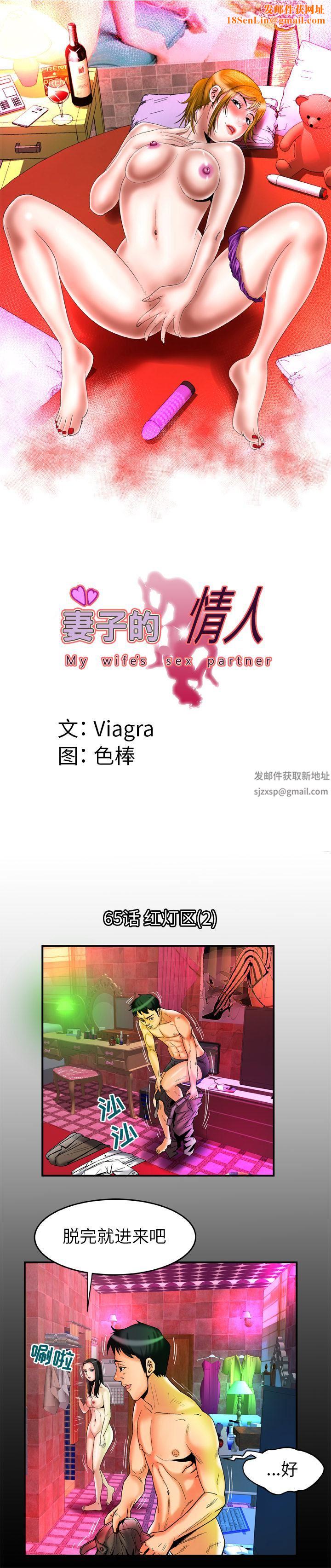 妻子的情人第65话