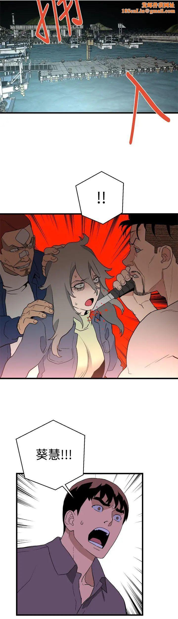 食物链第35话