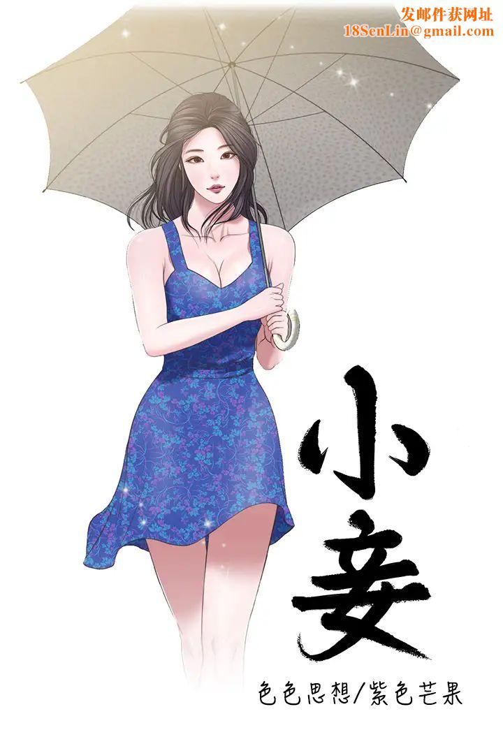 小妾第1话-我家的新妈妈