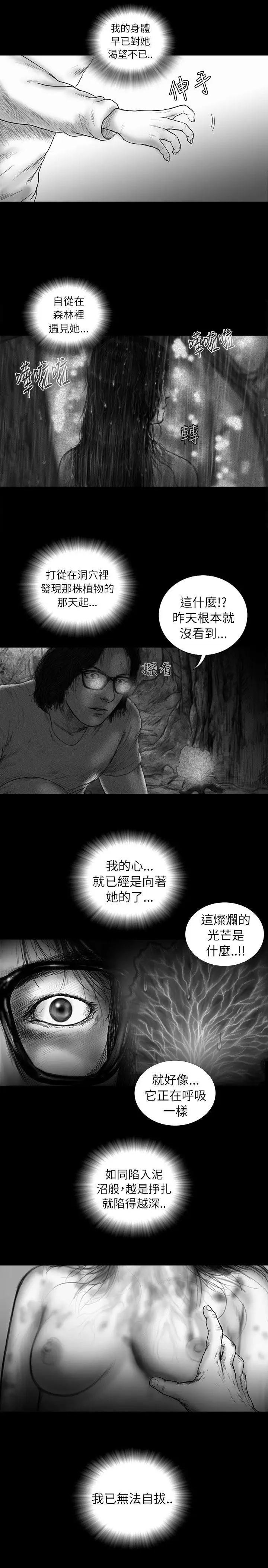 SEEDTheBeginning最终话