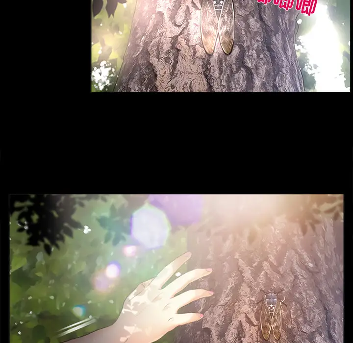 雪花第1话·