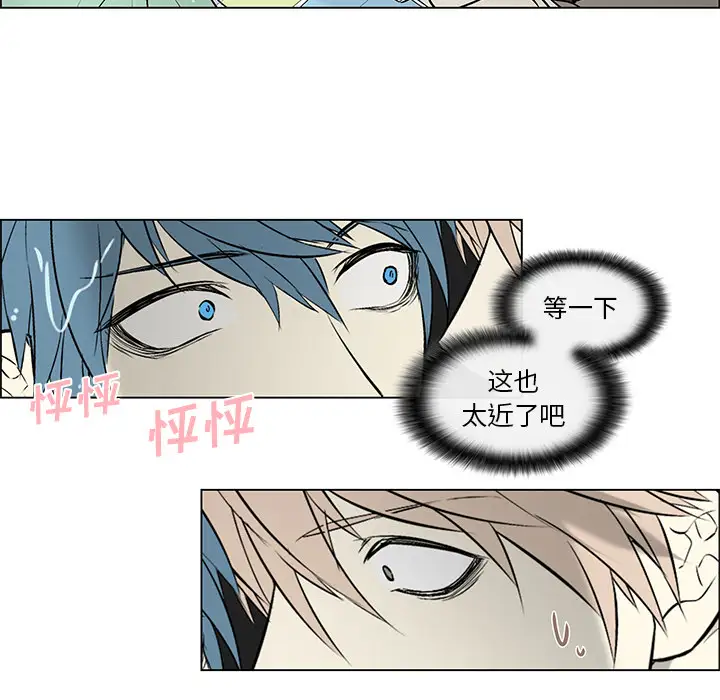 Settia第11话
