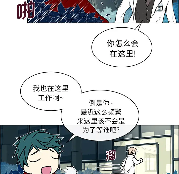 Settia第13话