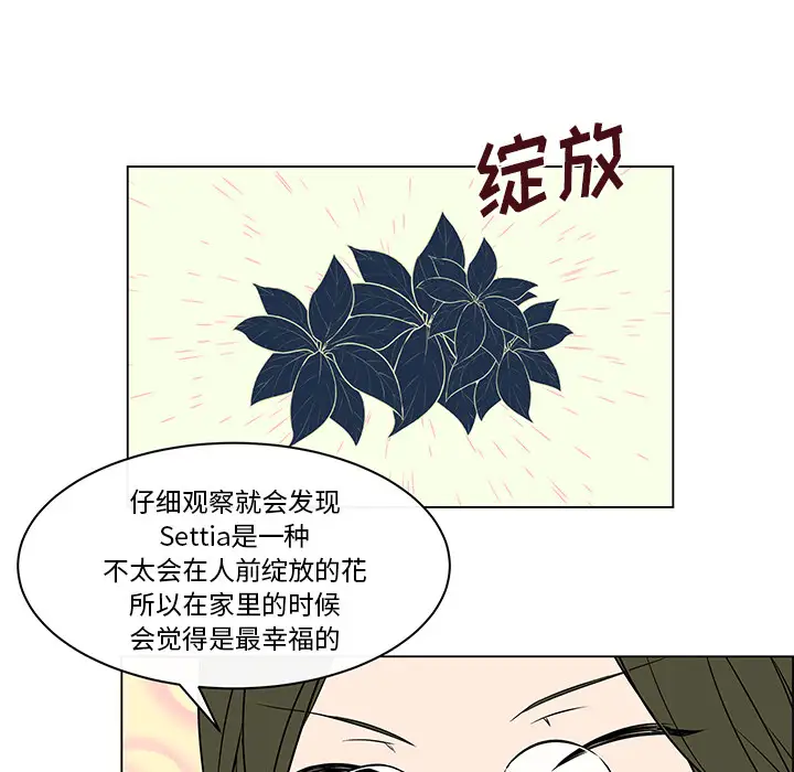 Settia第17话