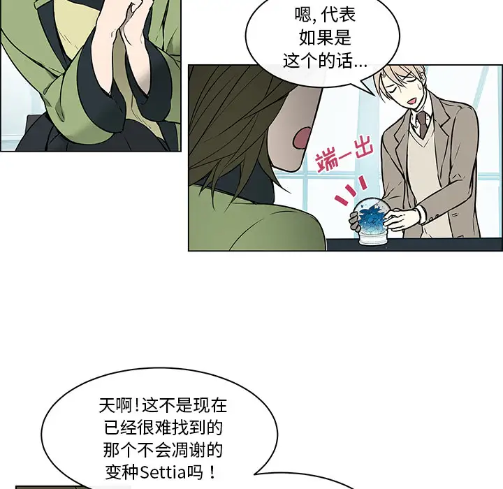 Settia第23话