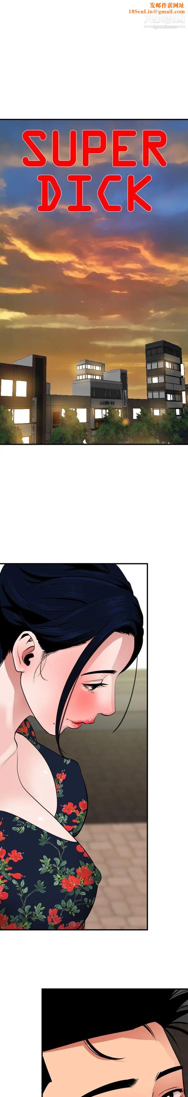 SuperDick第27话