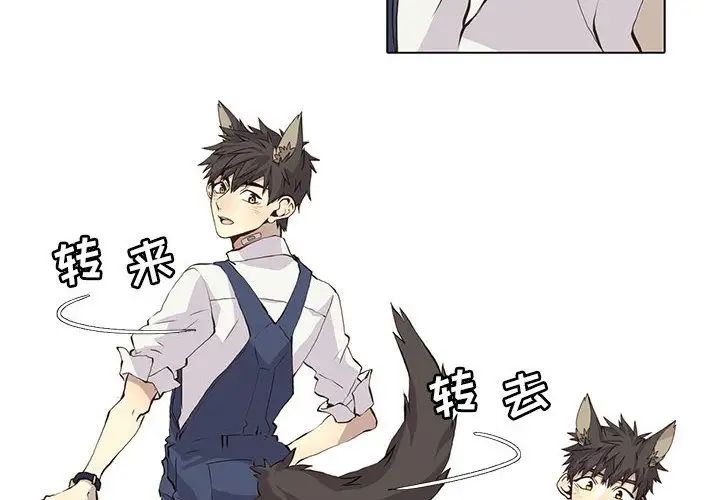 《野性之城》第35章