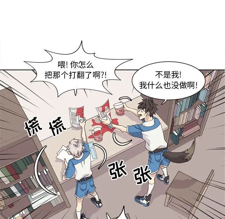 野性之城第41章