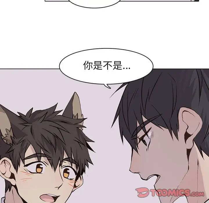 野性之城第42章
