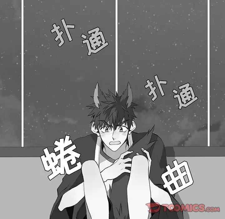 野性之城第42章
