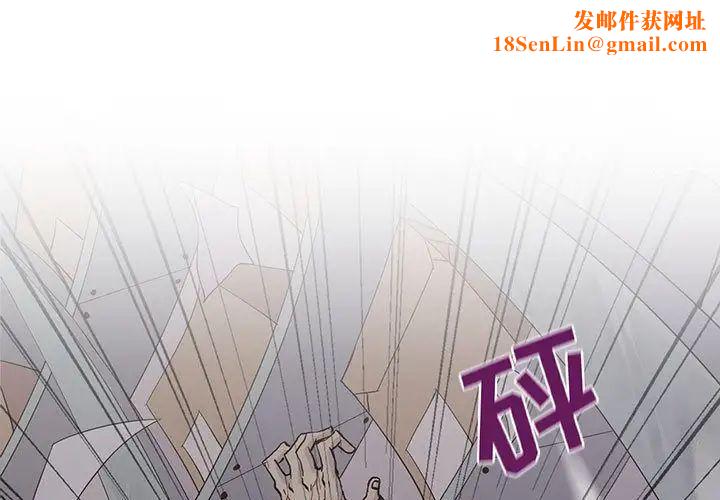 野性之城第45章