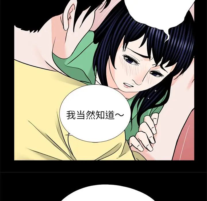 借子第28话