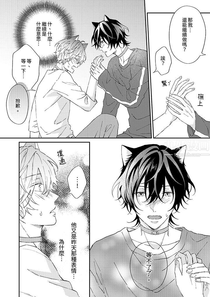 哈魯和路伊的二喵世界lovelife！第4話