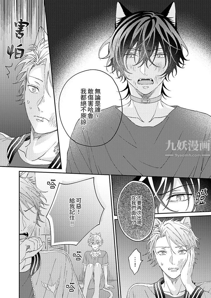 哈鲁和路伊的二喵世界lovelife！第10话