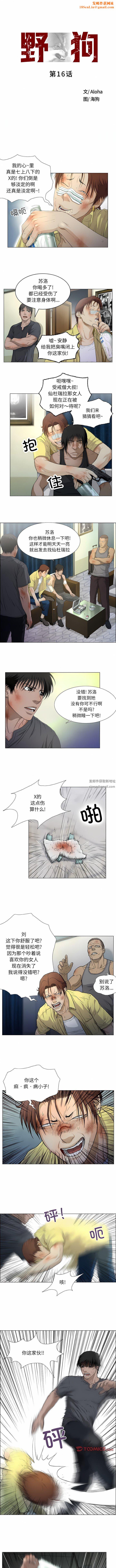 野狗第16话