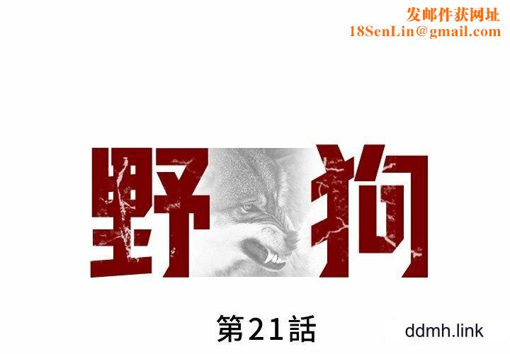 野狗第21话