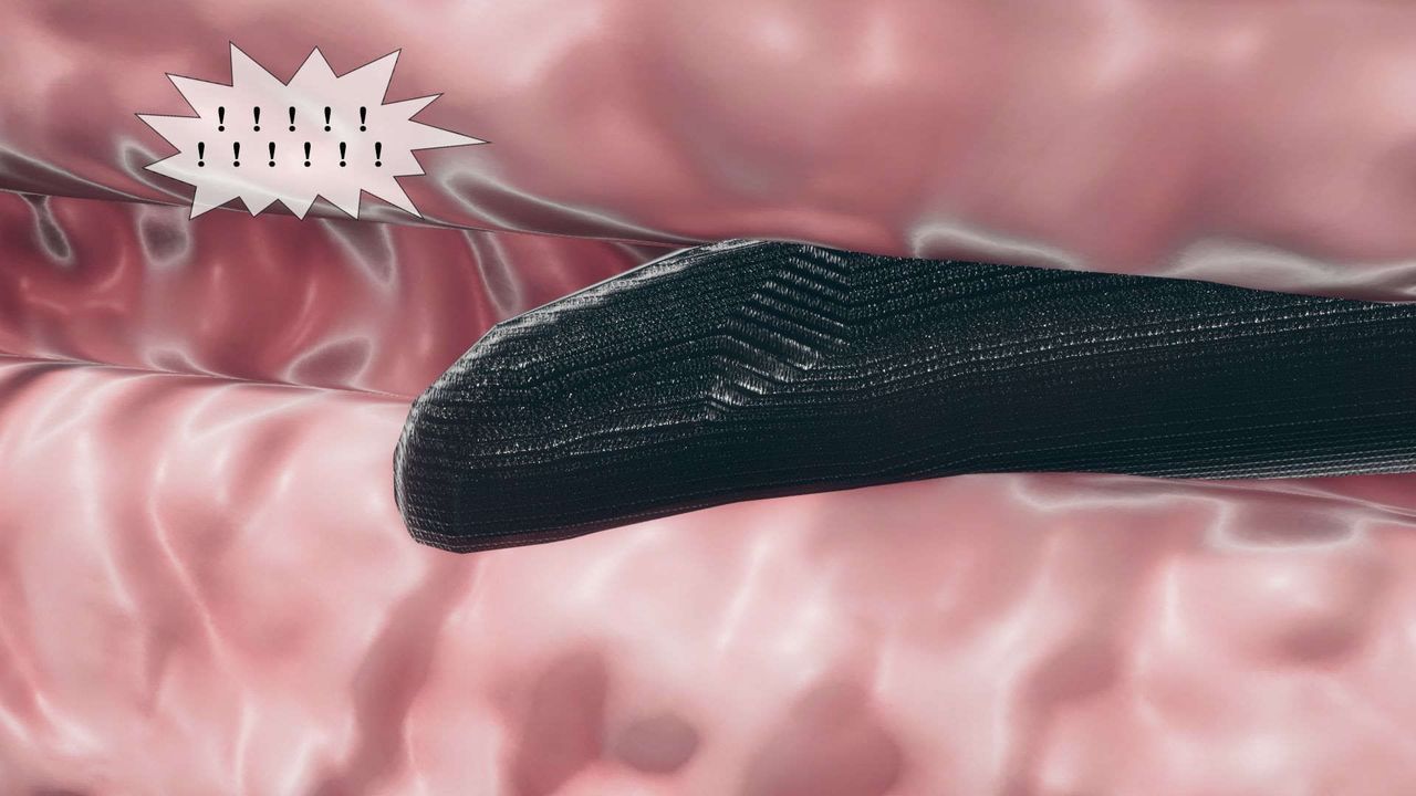 《[3D]堕落hd》第07话