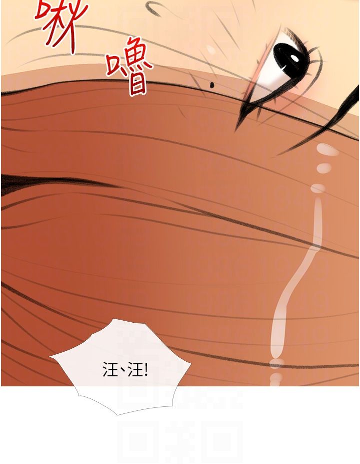 糖果爸爸的抢婚大作战第28话-听话的母狗有糖吃