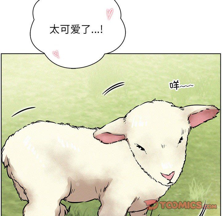 屋檐下的光第43话