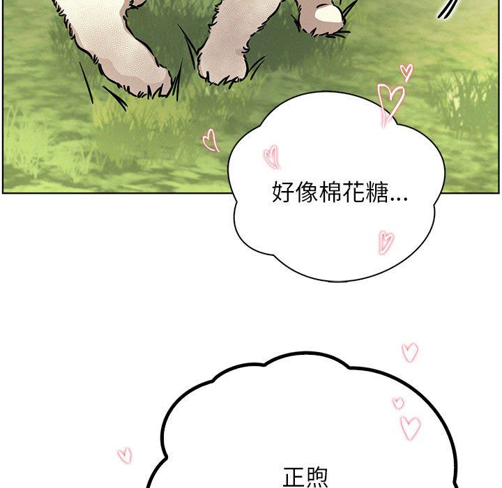 屋檐下的光第43话