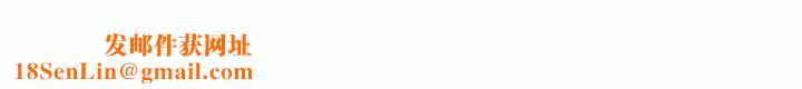 我的完美缪斯第52話