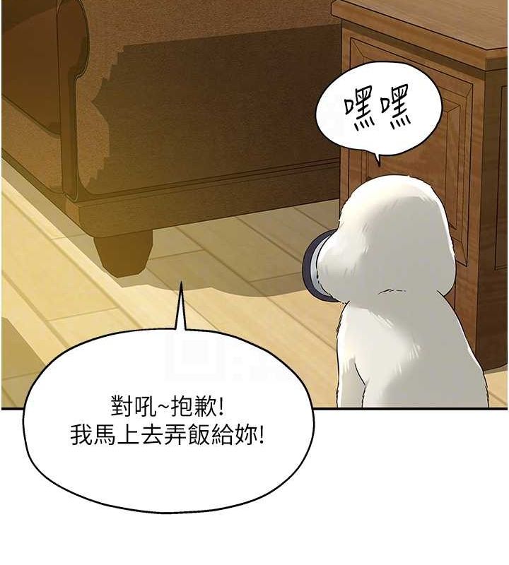 洞洞杂货店第110话-各怀「淫」胎的乔迁宴