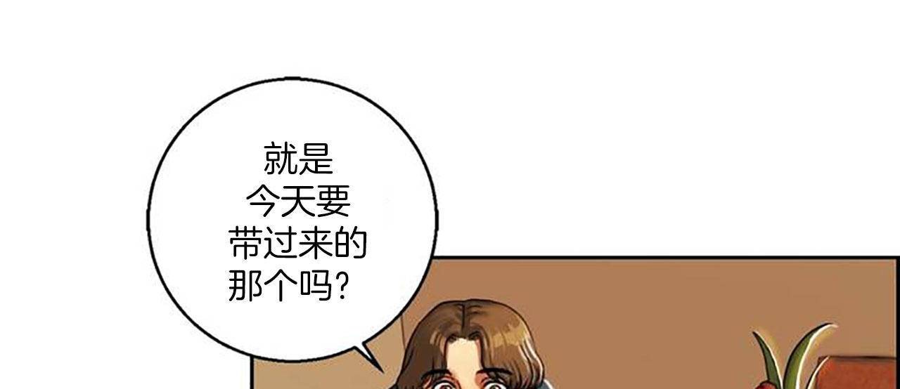 夫人的礼物第1话