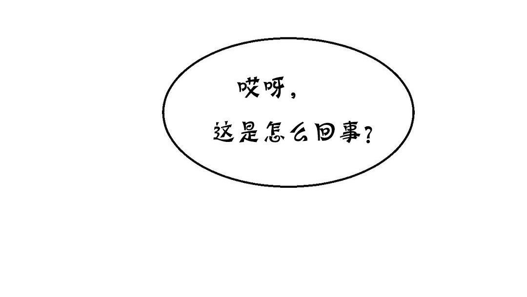 夫人的禮物第13話