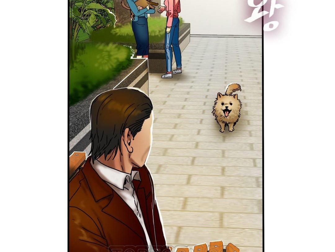 夫人的礼物第15话