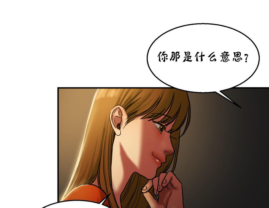 夫人的礼物第17话