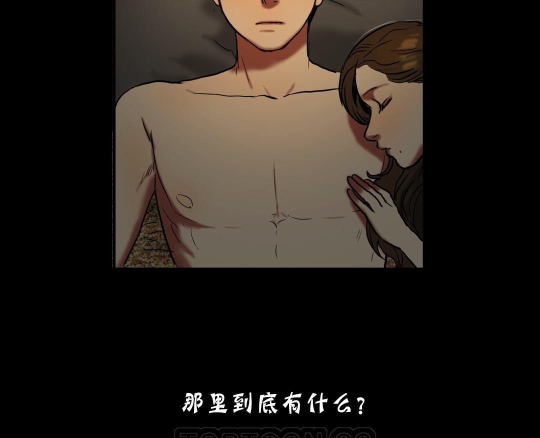 夫人的礼物第19话