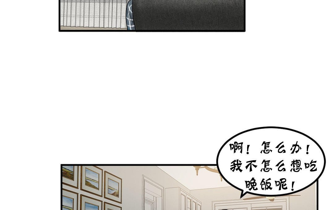夫人的礼物第22话