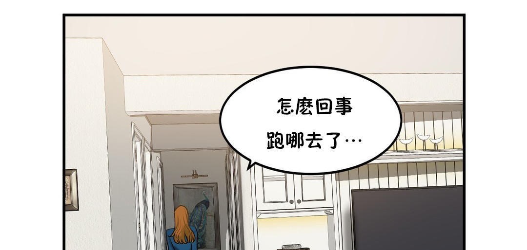 夫人的礼物第33话