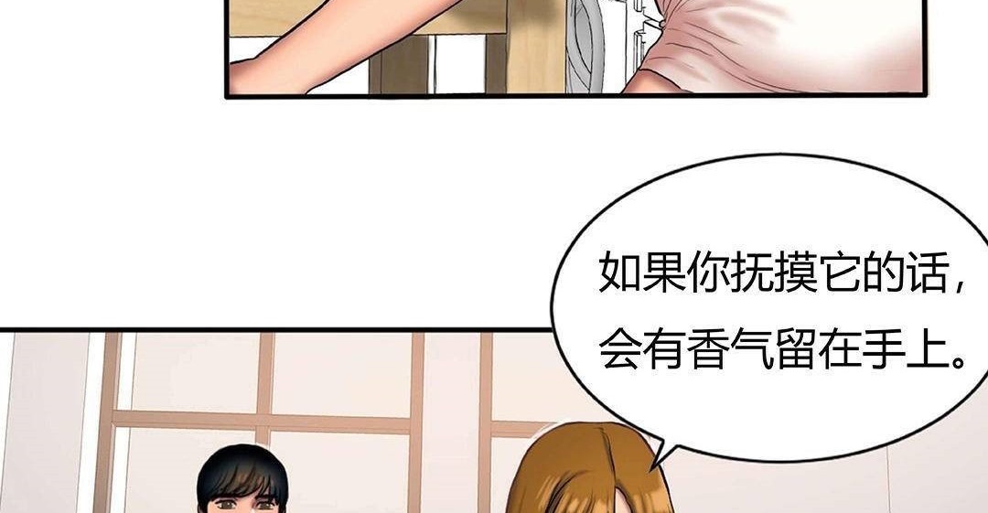 夫人的礼物第42话